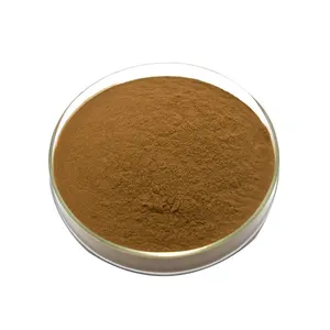 Best Price 30% Polysaccharide Wholesale Organic Chaga Mushroom Extract Powder