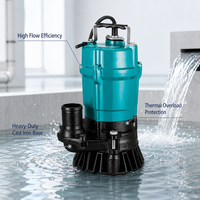 Pompe submersible souterraine en fonte avec accouplement flexible pour l'assainissement des eaux usées et l'évacuation des déchets, alimentation électrique