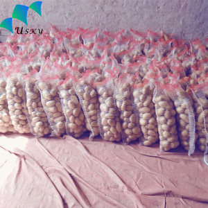 Resh-Bolsa de malla tubular de PP para embalaje, bolsa de red de 50kg para angladesh, ndia - Product Image 5