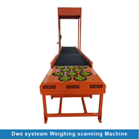 Pesage Tri Colis Scanner Codes À Barres Code Machine De Balayage Convoyeur Dynamique Dimension Entrepôt Poids Machine De Balayage