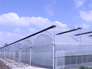<span class=keywords><strong>Jardin</strong></span> agricole Polytunnel Poluycarbonate Garden Metal Grow Tent Aquaponic Commercial Multi-Span Green House - Product Image 6