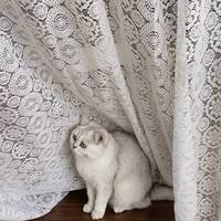1 Buah Tirai Renda Bunga Putih Tirai Latar Belakang Renda Tipis untuk Dekorasi Latar Belakang Fotografi Jendela Kamar Tidur Pesta Pernikahan