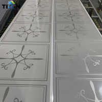Colombia Falso Techo PVC Laminado Sky Razo PVC de 9mm Placas de Techo PVC Satinado Sky 30x590