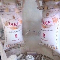 Farine de blé tout usage égyptienne Ikka T55, haute teneur en gluten, certifiée ISO 9001:2015 HALAL, qualité A, sac de 50 kg