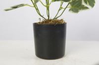 Plantes artificielles en pot miniatures de 40 cm de hauteur, plantes de table, plantes artificielles pour la maison et le bureau