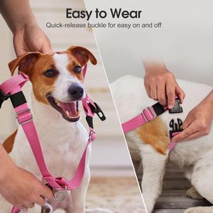 Ensemble de laisse et de harnais pour chien de grande taille, en nylon tactique robuste, rembourré, anti-traction, réglable - Product Image 4