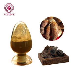 Extrait de Cistanche Tubulosa Naturel en Poudre 80% Phytoglycosides Échinacoside 35% Acteoside 14% Combat l'Oxydation Zenith Reserve Vente en Gros en Vrac - Product Image 5
