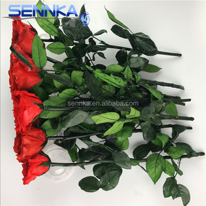 Vente en gros d'arrangements de fleurs séchées roses conservées <span class=keywords><strong>Bouquet</strong></span> de fleurs avec longue tige - Product Image 5