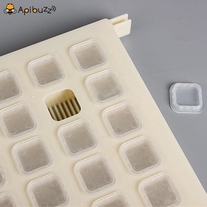 Queen-Kits de marco de almacenamiento para cría de abejas, dispositivo de apicultura, reemplazo de reina antigua, herramientas de prisión, suministros de equipo - Product Image 4