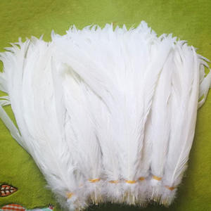 Pluma <span class=keywords><strong>de</strong></span> cola <span class=keywords><strong>de</strong></span> gallo <span class=keywords><strong>blanca</strong></span> blanqueada natural barata al por mayor <span class=keywords><strong>de</strong></span> BOHO para la decoración del vestido del carnaval - Product Image 2