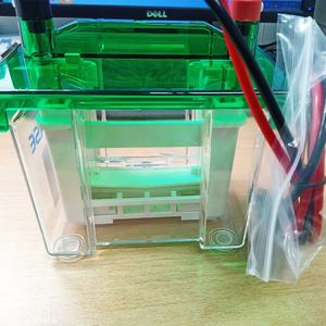 BIOBASE CHINA Vertikaler Elektrophorese-Tank für <span class=keywords><strong>15</strong></span> Proben Hochreine DNA-Erkennung Gel-Elektrophorese-Gerät für Labore - Product Image 3