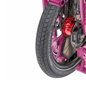 LEWEE Vélo électrique <span class=keywords><strong>cargo</strong></span> 36V 13.4 Ah/500Wh Batteries lithium 7 vitesses Vélo <span class=keywords><strong>cargo</strong></span> électrique pour adulte - Product Image 6