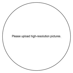 Plancha de Marcado <span class=keywords><strong>Profesional</strong></span> de Latón para Grabado Personalizado, Molde de Prensa Térmica para Cuero, Madera, Papel y Manualidades DIY - Product Image 6