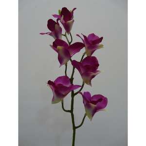 DENDROBIO SPRAY 59CM PU - Product Image 1