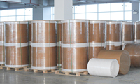 60um blanc brillant PP perle Film auto-adhésif papier étiquette matériel Jumbo Rolls brillant blanc PP Jumbo Rolls