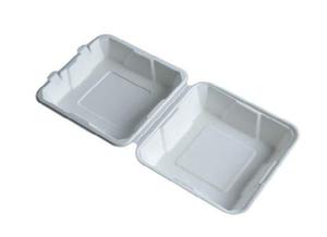 Scatola di Carta Bianca con Coperchio in Bagassa 8x8, Contenitore Minimalista Monouso per Pranzo BG-H88100 per Uso Esterno - Product Image 1