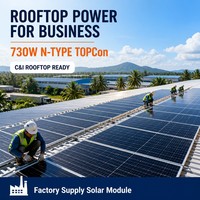 Module Solaire Monocristallin TOPCon Type N Personnalisé 730W, Efficacité 23,5%, 1500VDC, Demi-Cellule, Service OEM pour Projets