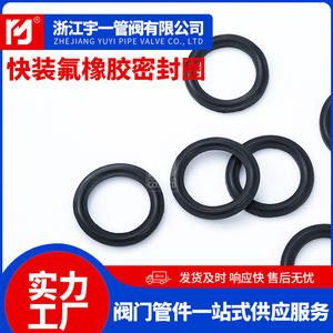 Joints sanitaires à dégagement rapide résistants aux acides/alcalis à haute température, en FKM, type collier, en fluororubber, joints spéciaux - Product Image 2