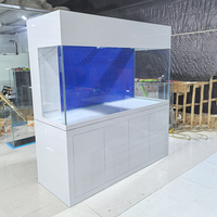 Aquarium marin sur mesure en verre ultra-blanc pour coraux avec meuble, sump, écumeur de protéines et refroidisseur d'aquarium