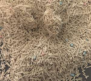 Kostenlose Proben Großhandel Bulk Clumping Flush able Tofu Katzenstreu Natural Oem Probe Katzenstreu Bulk - Product Image 4