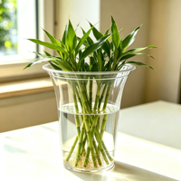Pot Bunga Hidroponik Transparan Tinggi, Ember Bunga Rumah Tangga untuk Pothos dan Lucky Bamboo