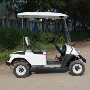 Voiturette de Golf Électrique Classique 2 Places Économique avec Batterie au Lithium/Plomb-Acide Personnalisable 48V/60V/72V - Product Image 5