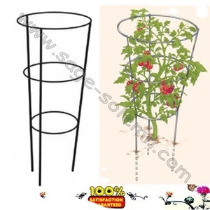 Cage <span class=keywords><strong>de</strong></span> soutien pour pivoine. Cage en <span class=keywords><strong>fil</strong></span> métallique en forme <span class=keywords><strong>de</strong></span> cône pour plante <span class=keywords><strong>de</strong></span> tomate et vigne - Product Image 4