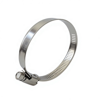 Collier de serrage américain à vis sans fin 1/2 po en bande perforée SS304 avec tête hexagonale W4 pour raccords de pompe de filtration de piscine