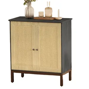 All'ingrosso nuovi prodotti soggiorno camera moderna credenza in Rattan credenza con due porte