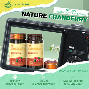 Cápsulas de Arándano Rojo Triple Acción con 5% PACs, Vitamina C y Probióticos para Cuidado Preventivo, 90 Cápsulas, Listas para Envío, Pedido al por Mayor - Product Image 2