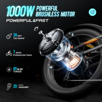 Bicicleta Eléctrica de Montaña Eahora Cupid 1000W, Batería de Litio 48V 60Ah, Pantalla LCD, Neumáticos Anchos, Cuadro de Acero, Precio FOB OEM