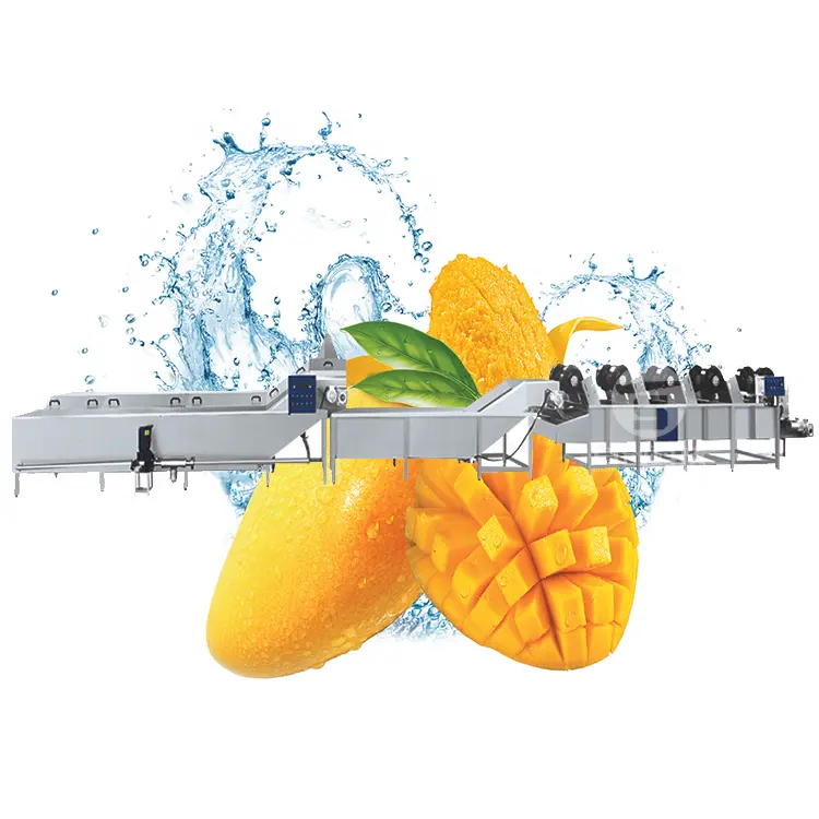 अच्छी गुणवत्ता औद्योगिक ताजा सब्जी फल सफाई सुखाने प्रसंस्करण मशीनरी सूखी तिथियाँ वॉशिंग मशीन बिक्री के लिए