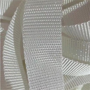 Bande de fixation pour film de <span class=keywords><strong>serre</strong></span> en PVC, corde de tension, <span class=keywords><strong>ceinture</strong></span> à haute résistance, petite <span class=keywords><strong>taille</strong></span>, blanche, marque ZEWO, pour une fixation sécurisée - Product Image 2