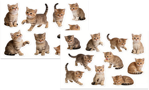 Paquete <span class=keywords><strong>de</strong></span> 4 Pegatinas <span class=keywords><strong>de</strong></span> Papel con Gatitos Realistas y Adorables, Calcomanías Decorativas <span class=keywords><strong>de</strong></span> Gatos para Álbumes <span class=keywords><strong>de</strong></span> Recortes, Diarios, Planificadores, Manualidades y Papelería - Product Image 5