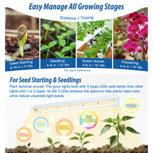 Tube LED T5 à spectre complet haute luminosité pour <span class=keywords><strong>serre</strong></span>, système hydroponique, croissance des plantes, des semis et des fleurs - Product Image 6