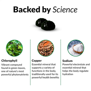 เยลลี่คลอโรฟิลล์ OEM/ODM เสริมภูมิคุ้มกัน โปรไบโอติกส์ วีแกน ให้พลังงาน - Product Image 3