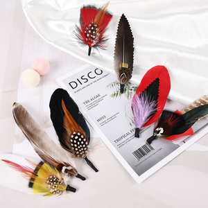 Tự Nhiên 21 Loại Hot Bán Bán Buôn Hat Gà lôi Lông Danh mục đầu tư Cho Dress Hat Trang Trí Thủ Công Mỹ Nghệ Số Lượng Lớn Chất Lượng Cao - Product Image 4