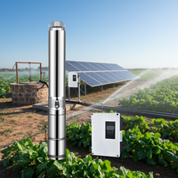 Pompe submersible solaire marine multi-étages en acier inoxydable de 1,2 pouce, 100 m de hauteur de refoulement, à moteur CC sans balais, pour puits profond, avec contrôleur externe