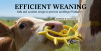Anneau nasal anti-sucette en plastique WANJIA pour le sevrage des veaux – Dispositif vétérinaire pour bovins, vaches et veaux en ferme