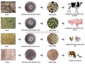 Planta de Fabricación de Pienso para Pollos y Ganado de Uso Doméstico de 100-1000 kg/H, Molino de Pienso para Animales Pequeños con Matriz Plana, Precio Económico de Fábrica - Product Image 6