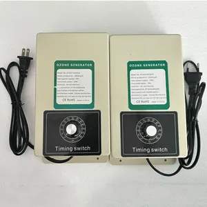 Purificateur d'air portable 2000 mg/h Purificateur d'air multifonctionnel générateur d'ozone pour l'eau