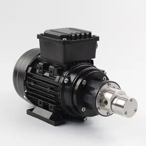 Silent Circulating Pump Ac Mini Magnetic Drive Gear Pump Water Motor Stainless Steel Gear Pump