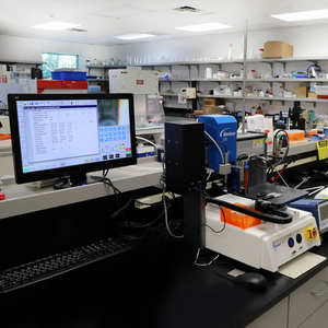 Gomitas Premium de Piña OEM para el Equilibrio Femenino, Fuente Vital de Probióticos Vaginales, Gomitas Femeninas para el PH de la Mujer - Product Image 2