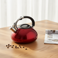 Bouilloire sifflante en acier inoxydable de 2,7 litres avec base à induction et poignée ergonomique pour une ébullition rapide du thé