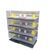 Équipement Automatique d'Élevage de Poulets Fabricants de Cages Verticales Galvanisées Approvisionnement Direct sur Stock