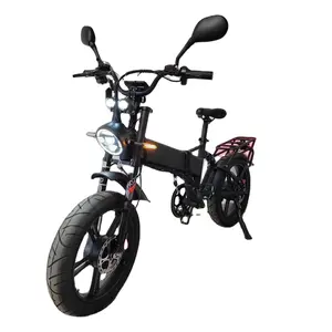 2024 Yolin F20 nueva bicicleta eléctrica plegable 2000W Motor Dual 52V batería Dual 21Ah neumático grueso Marco de aleación de aluminio playa ebike
