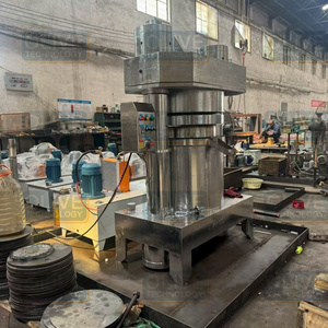 Presse à huile à froid hydraulique Pressoir à huile Presseur d'huile de sésame hydraulique de noix Machine de fabrication d'huile à froid - Product Image 1