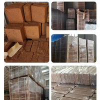 Briques de fibres de coco naturelles de 11 lb, substrat organique pour semis, culture hors-sol, écologique, agricole, Yandong
