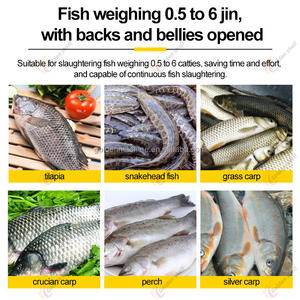 Máquina Automática Duradera para Procesamiento de Pescado, Acero Inoxidable, 220V/380V, 2.2kW, Capacidad de 50-60 Peces/<span class=keywords><strong>Minuto</strong></span> - Product Image 2