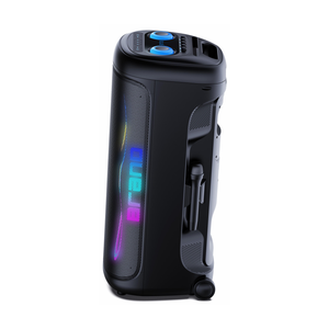 Nuovo Prodotto: Altoparlante KTV Karaoke Doppio da <span class=keywords><strong>6</strong></span> Pollici, Doppio da 8 Pollici, Doppio da 10 Pollici per Palcoscenici e Canto all'Aperto - Product Image 5